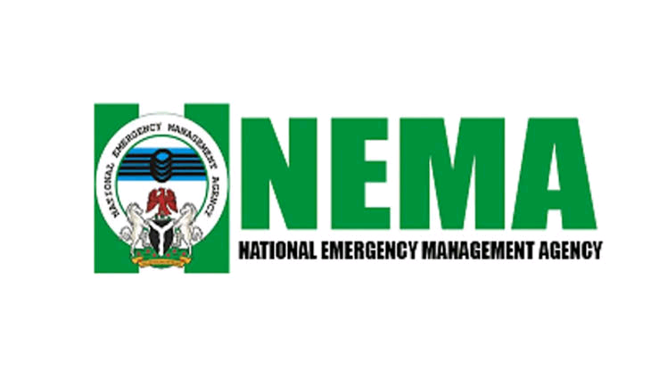 Requirements For NEMA Recruitment 2025 Application Form Portal